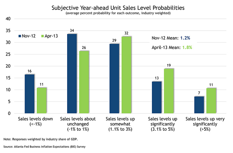 Subjective Year-ahead Unit Sales Level Probabilities