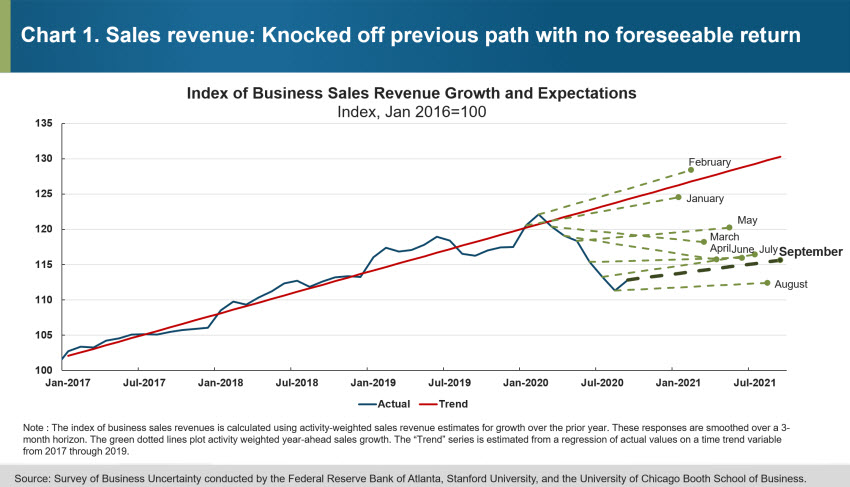 Chart 1: Sales Revenues